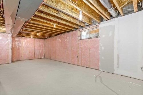 232 Copperpond Parade Se, Calgary, AB - Indoor Photo Showing Basement