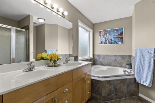 38 Simcoe Crescent Sw, Calgary, AB - Indoor Photo Showing Bathroom