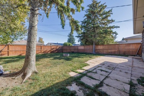 99 Mardale Crescent Ne, Calgary, AB - Outdoor With Backyard