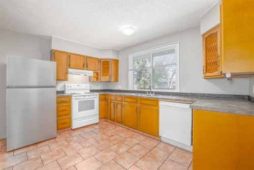 99 Mardale Crescent Ne, Calgary, AB - Indoor Photo Showing Kitchen With Double Sink