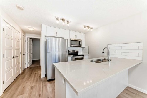 109 Cranbrook Square Se, Calgary, AB - Indoor Photo Showing Kitchen With Stainless Steel Kitchen With Double Sink With Upgraded Kitchen