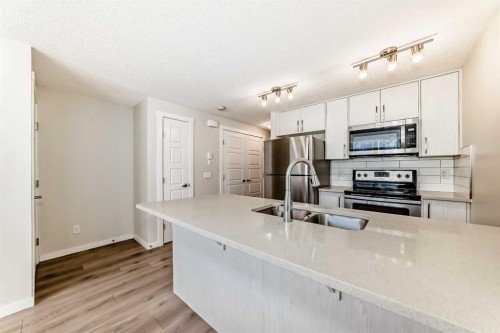 109 Cranbrook Square Se, Calgary, AB - Indoor Photo Showing Kitchen With Stainless Steel Kitchen With Double Sink With Upgraded Kitchen