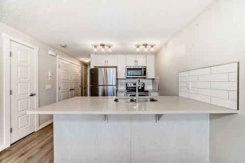 109 Cranbrook Square Se, Calgary, AB - Indoor Photo Showing Kitchen With Double Sink With Upgraded Kitchen