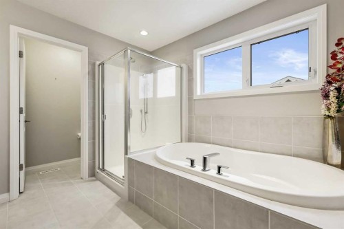 154 Masters Point Se, Calgary, AB - Indoor Photo Showing Bathroom