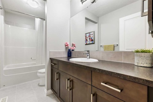 154 Masters Point Se, Calgary, AB - Indoor Photo Showing Bathroom