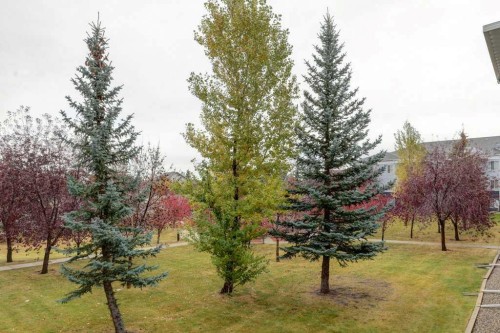 1209-2280 68 Street Ne, Calgary, AB - Outdoor With View