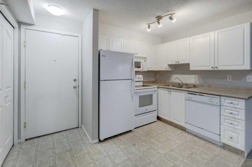 1209-2280 68 Street Ne, Calgary, AB - Indoor Photo Showing Kitchen With Double Sink