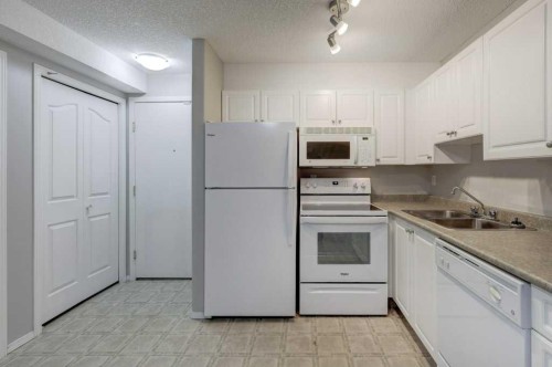 1209-2280 68 Street Ne, Calgary, AB - Indoor Photo Showing Kitchen With Double Sink
