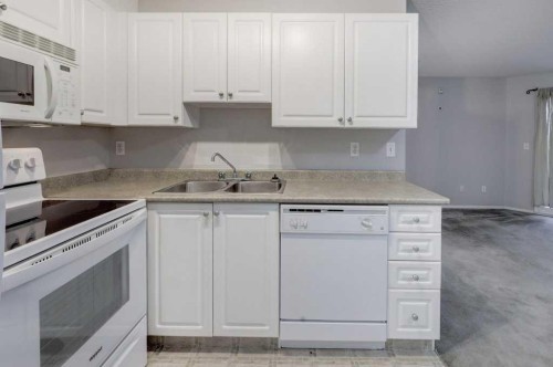 1209-2280 68 Street Ne, Calgary, AB - Indoor Photo Showing Kitchen With Double Sink