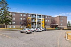 409-4455A Greenview Drive NE Calgary, AB T2E 6M1
