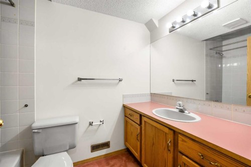 51 Macewan Park Rise Nw, Calgary, AB - Indoor Photo Showing Bathroom