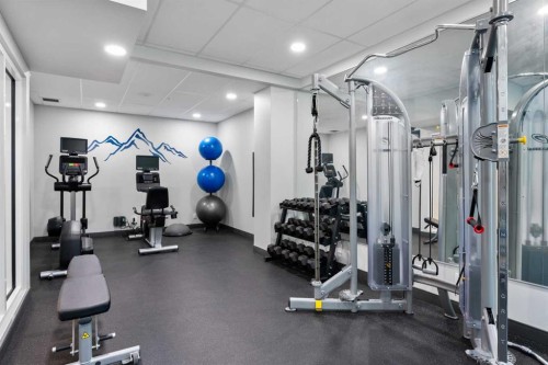 501-837 2 Avenue Sw, Calgary, AB - Indoor Photo Showing Gym Room