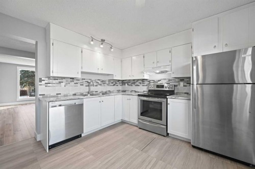 128 Castlegreen Close Ne, Calgary, AB - Indoor Photo Showing Kitchen With Stainless Steel Kitchen With Double Sink With Upgraded Kitchen