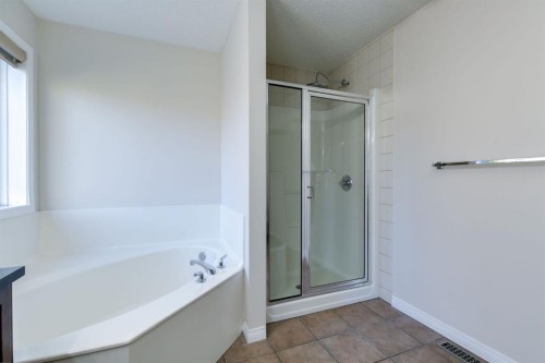 186 Copperfield Close Se, Calgary, AB - Indoor Photo Showing Bathroom
