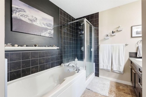 93 Auburn Meadows View Se, Calgary, AB - Indoor Photo Showing Bathroom