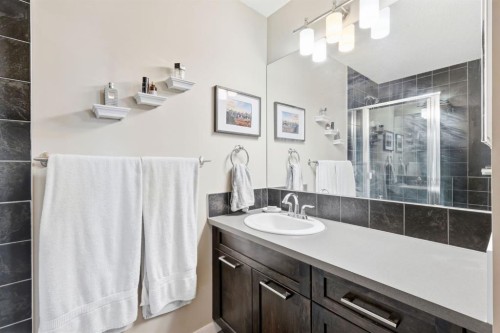 93 Auburn Meadows View Se, Calgary, AB - Indoor Photo Showing Bathroom