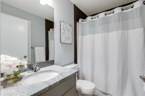 1037 Chinook Gate Heath Sw, Airdrie, AB - Indoor Photo Showing Bathroom