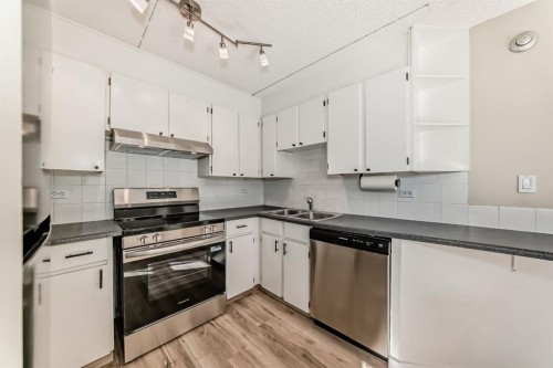 605-1414 12 Street Sw, Calgary, AB - Indoor Photo Showing Kitchen With Double Sink