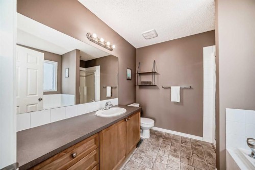 423 Morningside Way Sw, Airdrie, AB - Indoor Photo Showing Bathroom