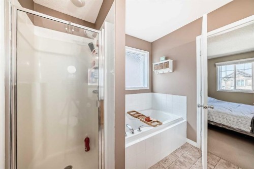 423 Morningside Way Sw, Airdrie, AB - Indoor Photo Showing Bathroom