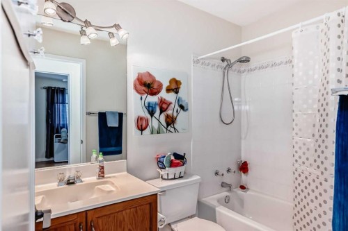 238 Citadel Hills Circle Nw, Calgary, AB - Indoor Photo Showing Bathroom
