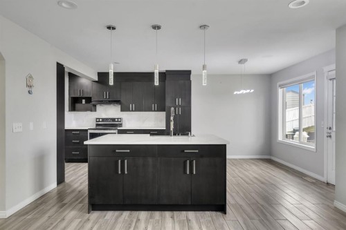 11 Saddlebrook Way Ne, Calgary, AB - Indoor Photo Showing Kitchen With Upgraded Kitchen