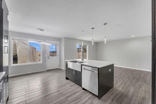 11 Saddlebrook Way Ne, Calgary, AB - Indoor Photo Showing Kitchen With Double Sink