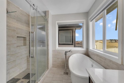 11 Saddlebrook Way Ne, Calgary, AB - Indoor Photo Showing Bathroom