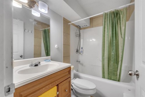 11 Saddlebrook Way Ne, Calgary, AB - Indoor Photo Showing Bathroom