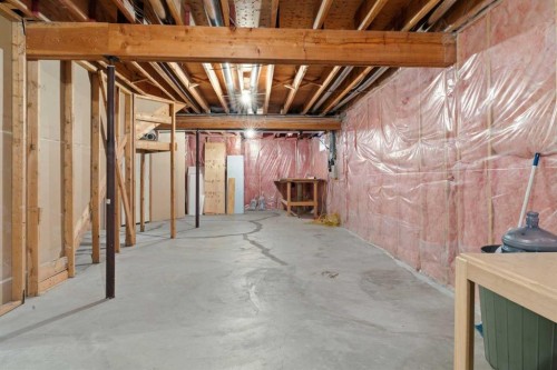 135 Hamptons Park Nw, Calgary, AB - Indoor Photo Showing Basement