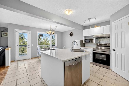 64 Macewan Park Rise Nw, Calgary, AB - Indoor Photo Showing Kitchen With Double Sink