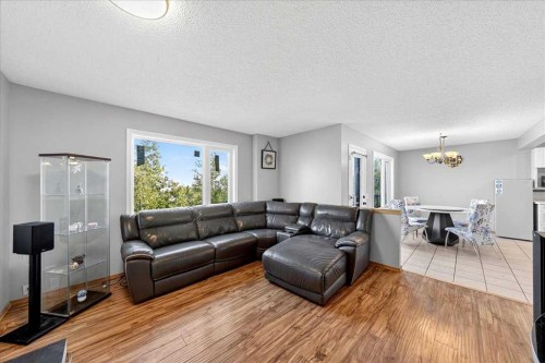 64 Macewan Park Rise Nw, Calgary, AB - Indoor Photo Showing Living Room