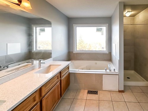 64 Macewan Park Rise Nw, Calgary, AB - Indoor Photo Showing Bathroom
