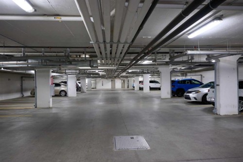 3112-181 Skyview Ranch Manor Ne, Calgary, AB - Indoor Photo Showing Garage