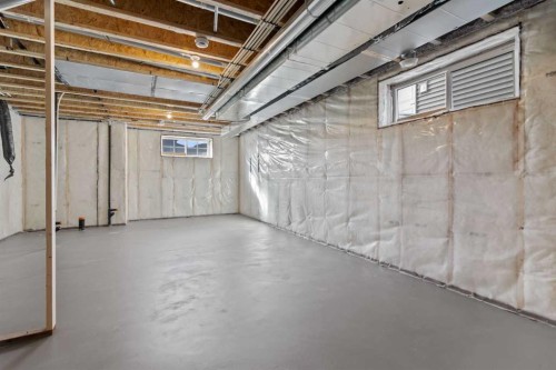 994 Chinook Winds Meadow Sw, Airdrie, AB - Indoor Photo Showing Basement