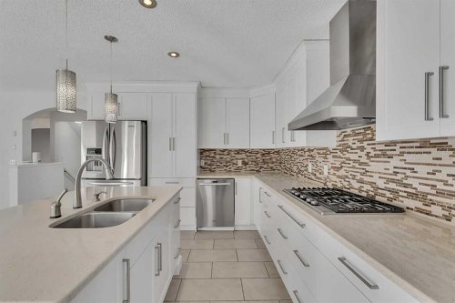 338 Panamount Drive Nw, Calgary, AB - Indoor Photo Showing Kitchen With Stainless Steel Kitchen With Double Sink With Upgraded Kitchen