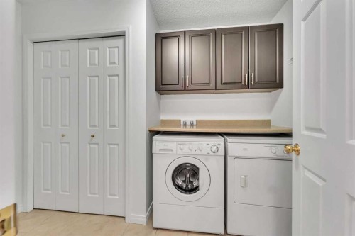 338 Panamount Drive Nw, Calgary, AB - Indoor Photo Showing Laundry Room
