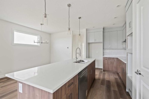 10 Herron Common Ne, Calgary, AB - Indoor Photo Showing Kitchen With Double Sink