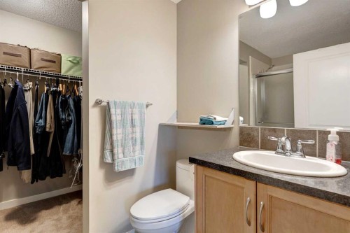 267 Silverado Plains Close Sw, Calgary, AB - Indoor Photo Showing Bathroom