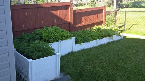 267 Silverado Plains Close Sw, Calgary, AB - Outdoor