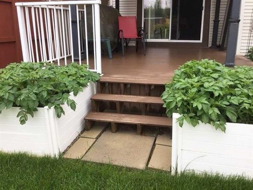 267 Silverado Plains Close Sw, Calgary, AB - Outdoor With Exterior