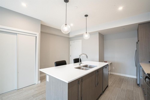 2324-60 Skyview Ranch Road Ne, Calgary, AB - Indoor Photo Showing Kitchen With Double Sink