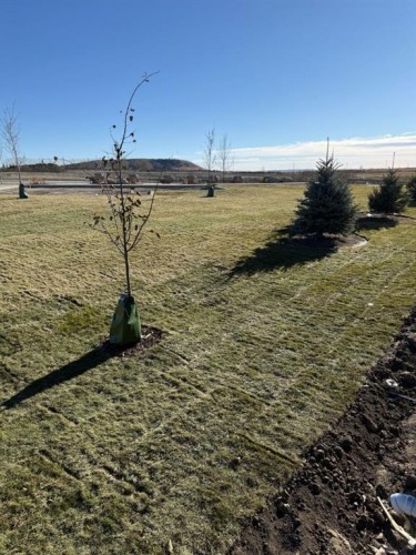 524 Heritage Boulevard, Cochrane, AB - Outdoor With View