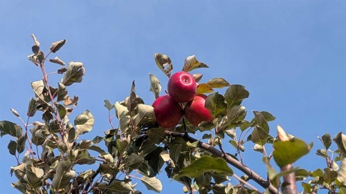 430 Pinehill Road Ne, Calgary, AB - Outdoor With View