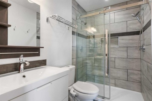 165 Harvest Park Circle Ne, Calgary, AB - Indoor Photo Showing Bathroom