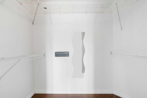 165 Harvest Park Circle Ne, Calgary, AB - Indoor With Storage