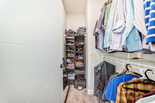 158 Les Jardins Park Se, Calgary, AB - Indoor With Storage