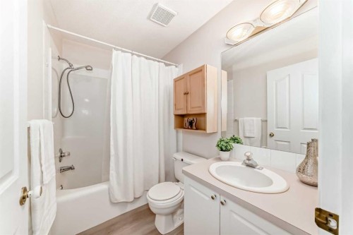 139 Bridlewood Circle Sw, Calgary, AB - Indoor Photo Showing Bathroom