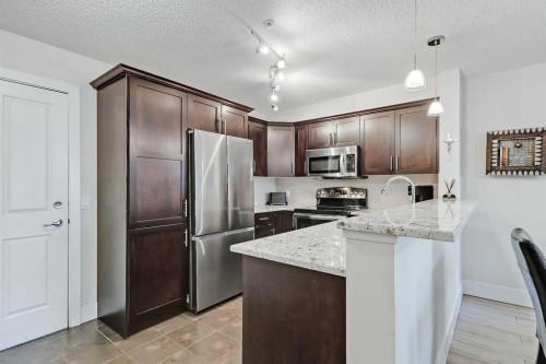 112-380 Marina Drive, Chestermere, AB - Indoor Photo Showing Kitchen With Stainless Steel Kitchen With Upgraded Kitchen
