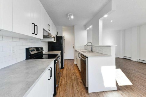 204-2220 16A Street Sw, Calgary, AB - Indoor Photo Showing Kitchen With Double Sink With Upgraded Kitchen
